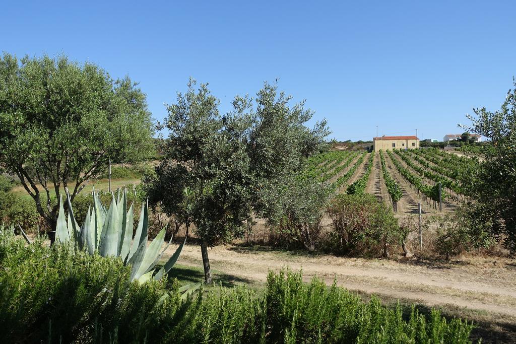 Agriturismo Campesi Casale Tra Le Vigne Aglientu Exterior foto