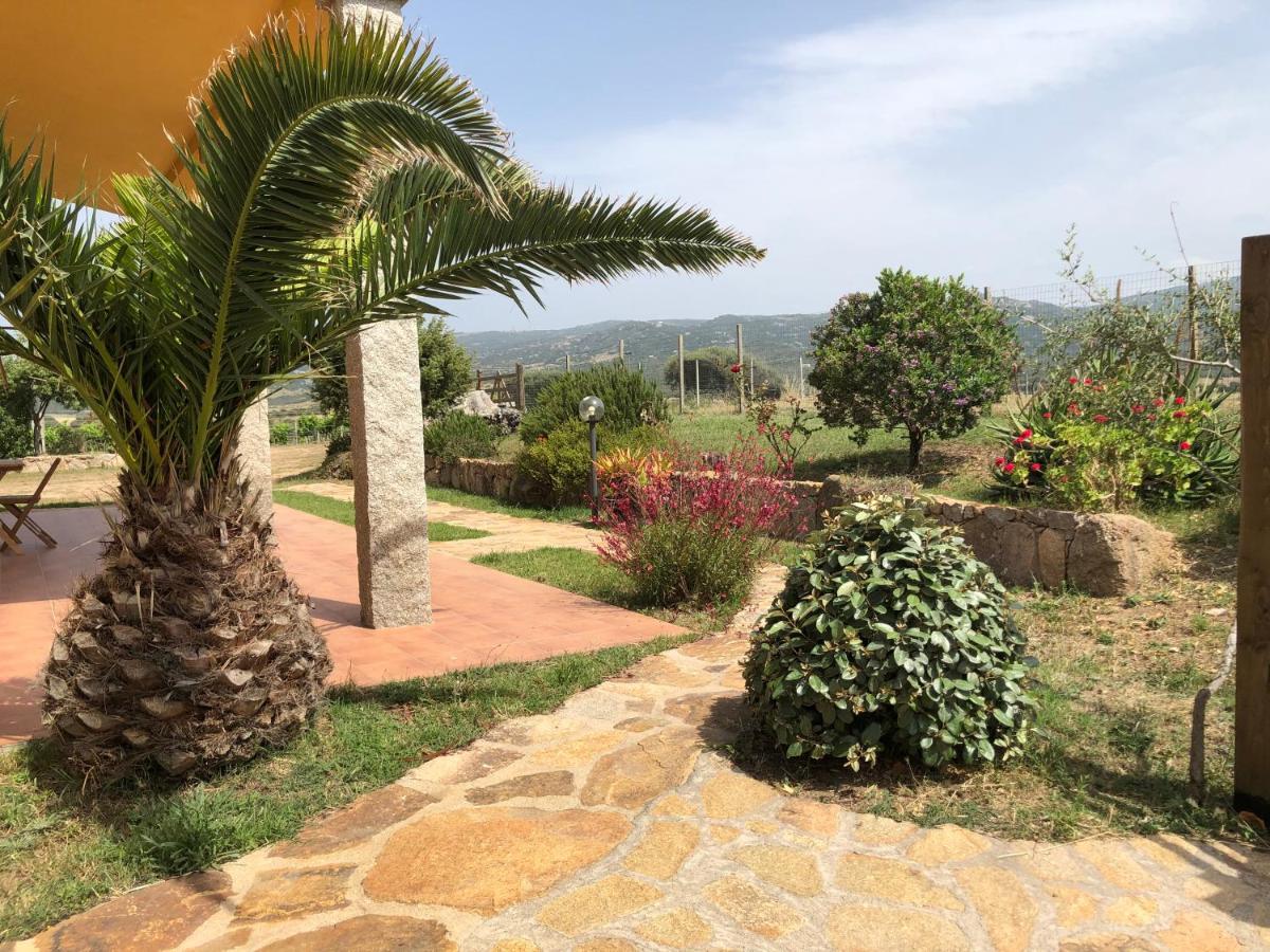 Agriturismo Campesi Casale Tra Le Vigne Aglientu Exterior foto